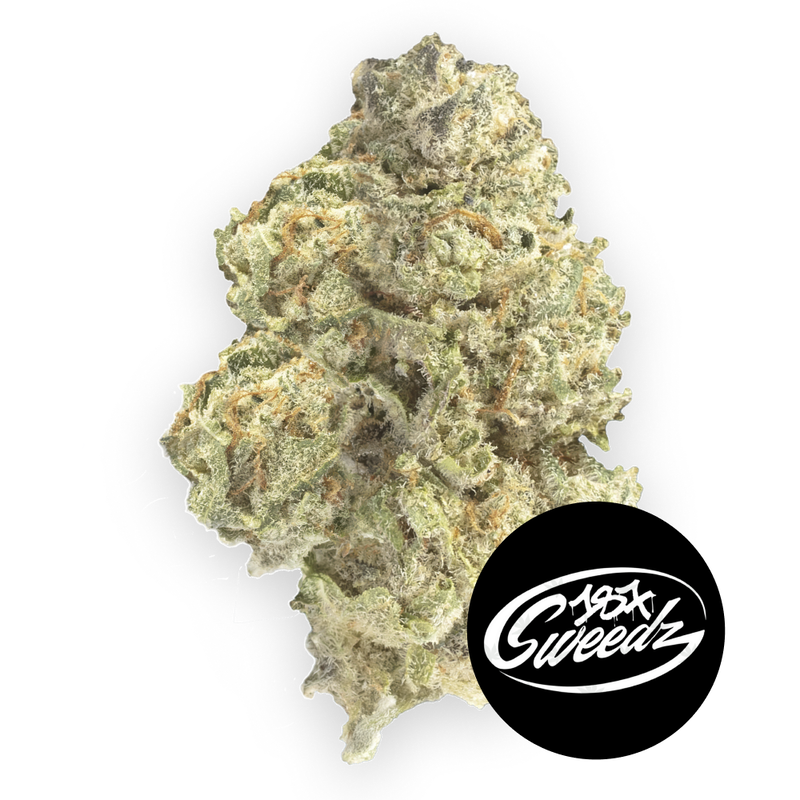 Phantasia Purp