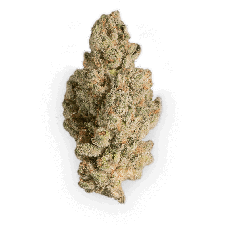 Gorilla Glue 4