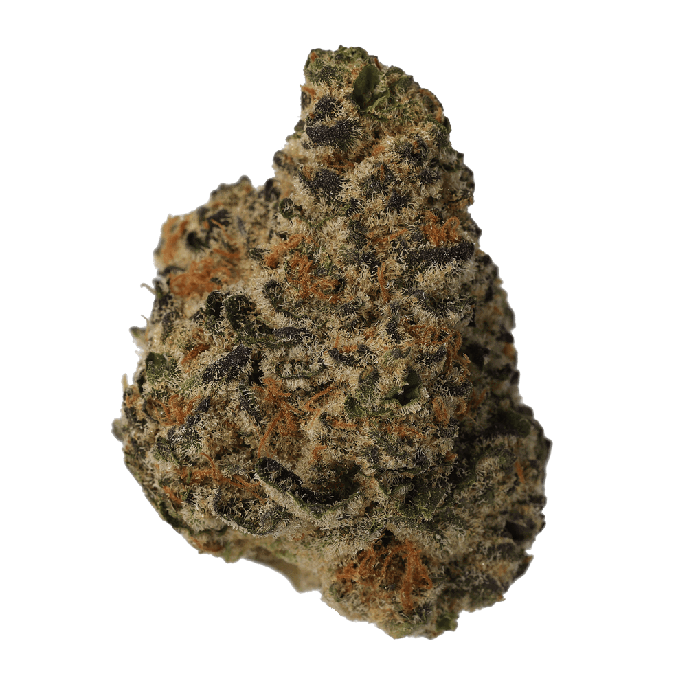 Cannamedical Indica Forte