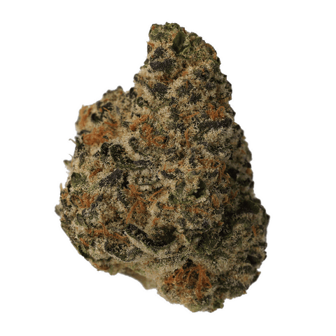 El Jefe Strain
