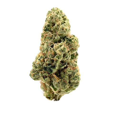 Girl Scout Kush Strain