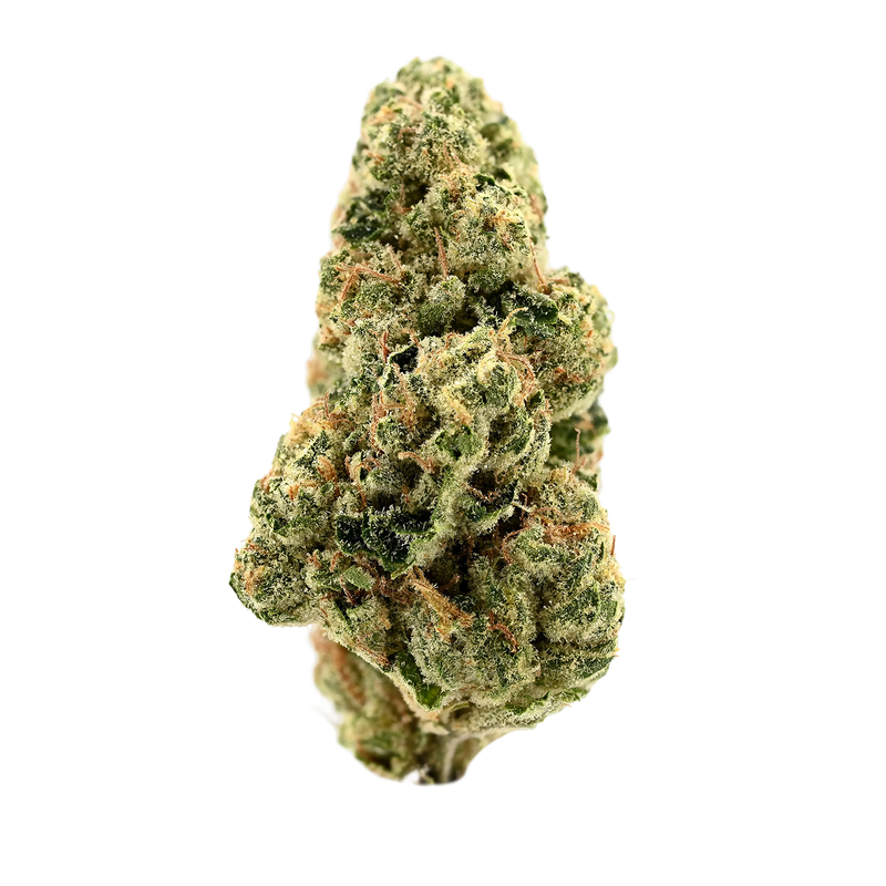 Girl Scout Kush