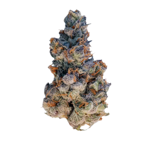 Grape OG Strain