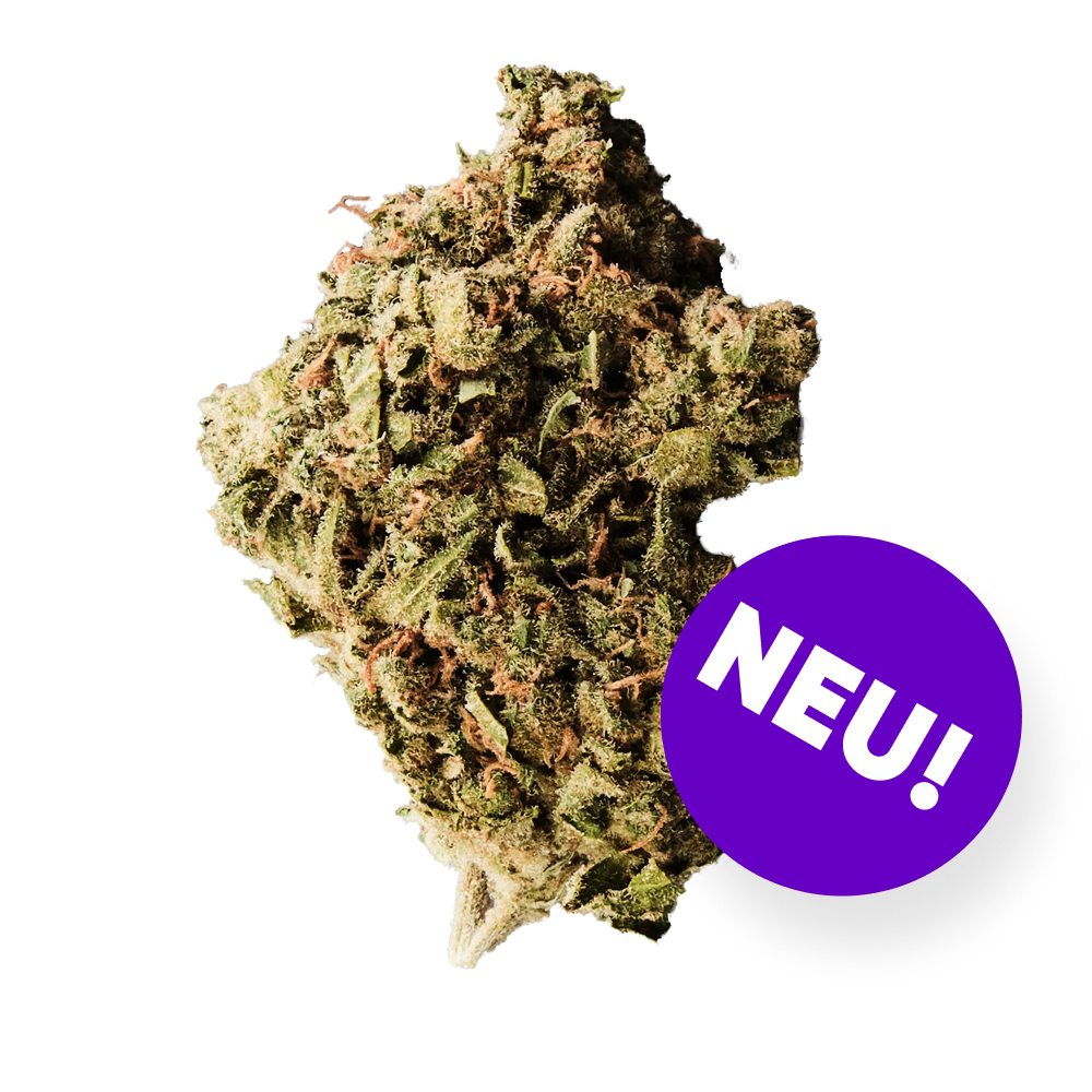 420 Sungrown 20/1 CA ZRP