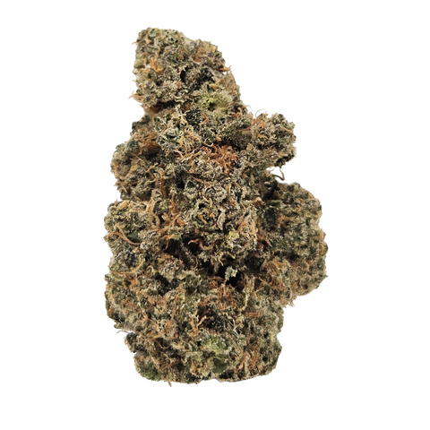 Mandarin Sunset X Girl Scout Cookies Strain