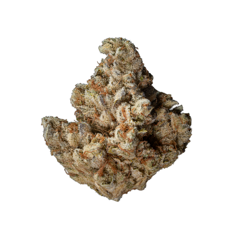 G13 Ultra Strain