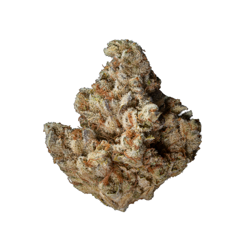 G13 Ultra