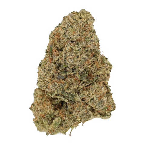 Solpina Magic Strain