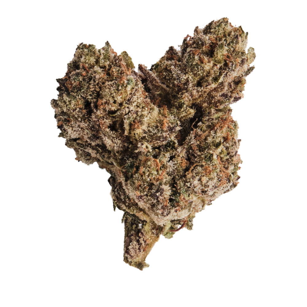 420 Compound 20/1 PT TGY