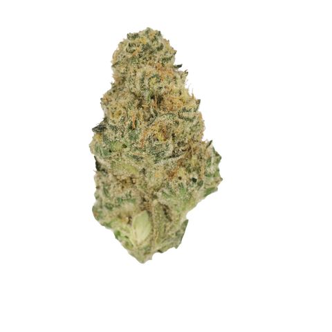 Blue Lavender Strain