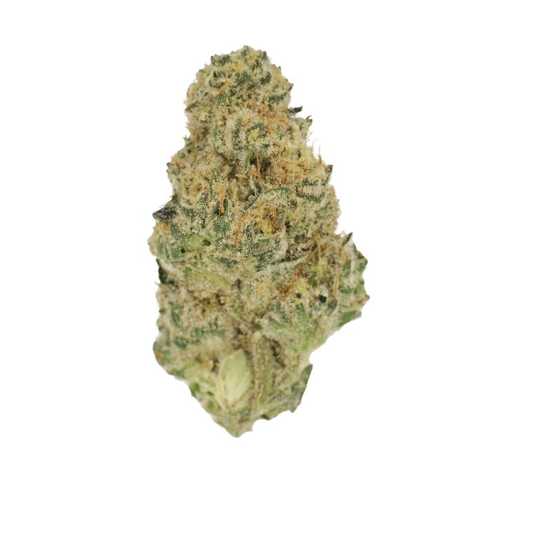 Blue Lavender