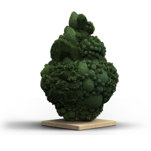 Sour Blue Lemon Strain