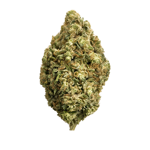 Orange Starfruit Strain