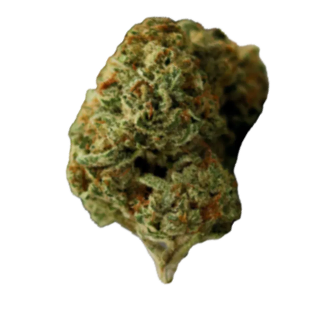 Cali Sunset Strain