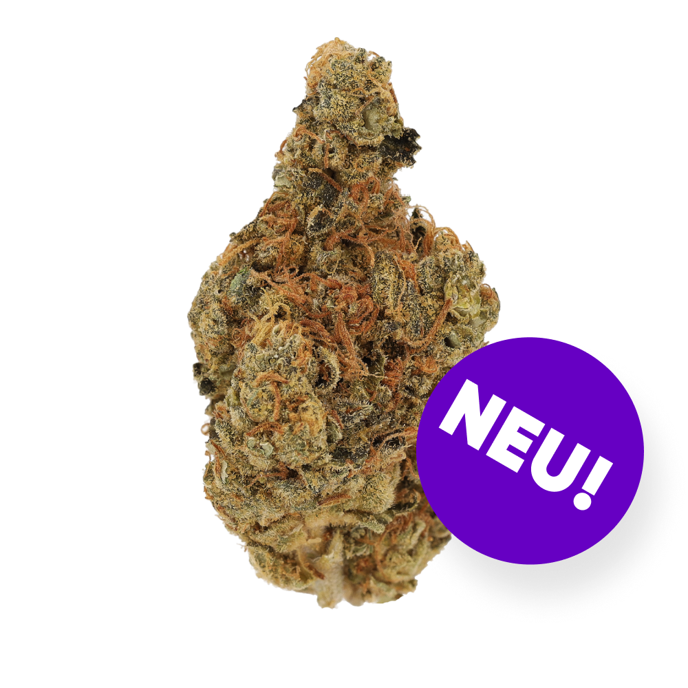 Cannamedical Hybrid Classic KA