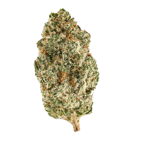 God Cherry Bud Strain