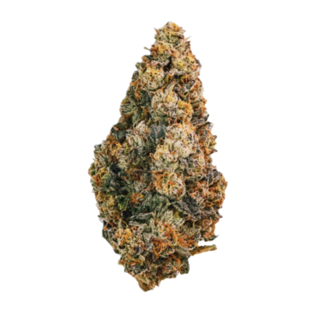 Scotti‘s Purps Strain