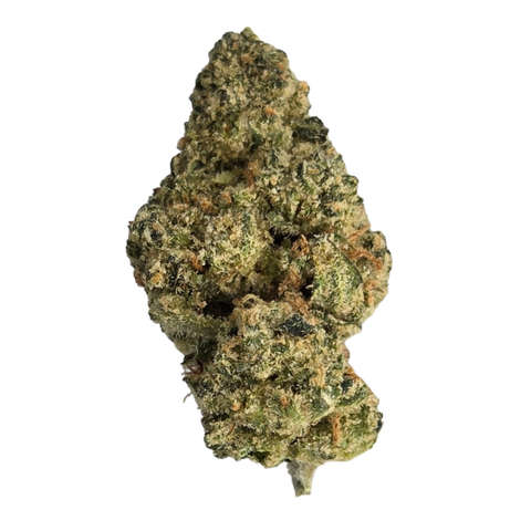 Sunset Sherbert Strain