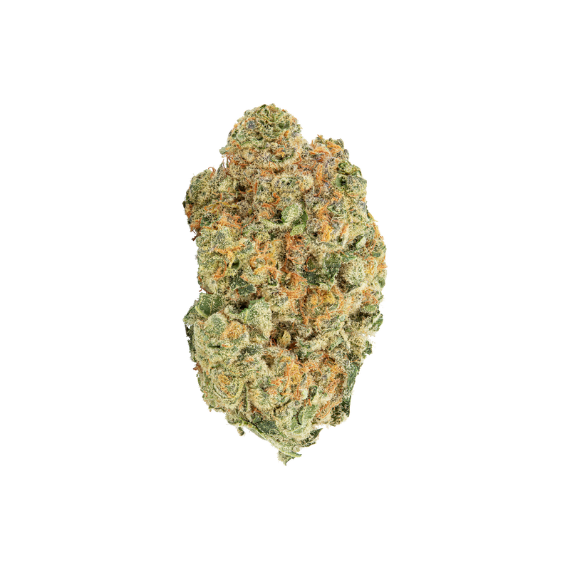 Midnight Mimosa