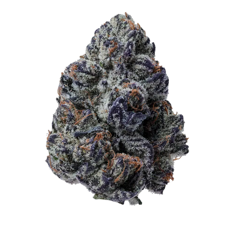 Killer Cupcake Strain