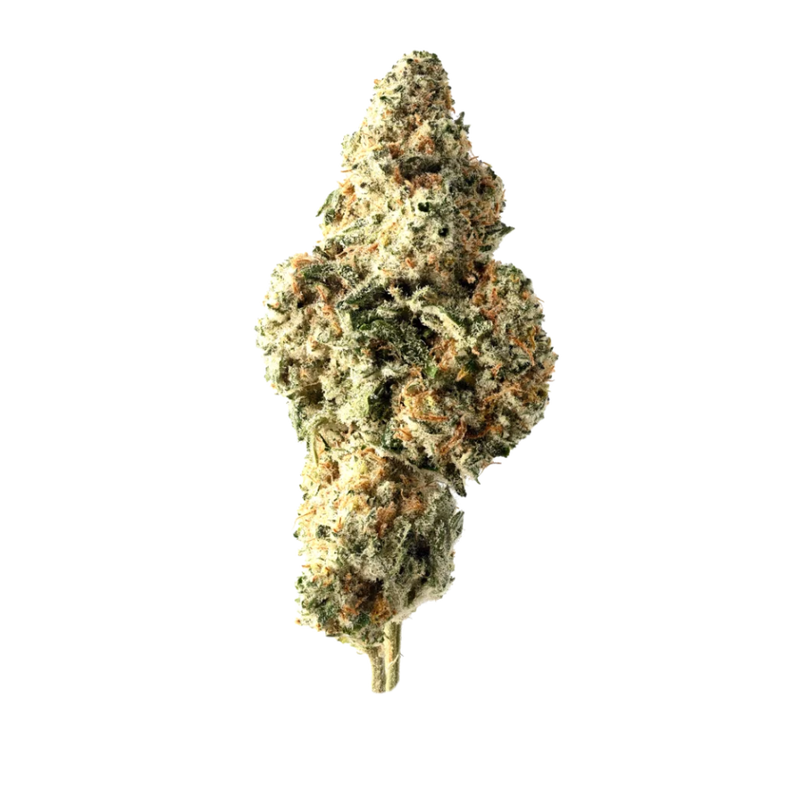 Midnight Diner