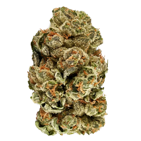 Z Kush Strain