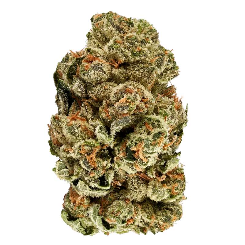 Z Kush