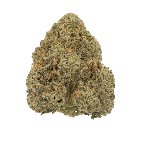 Blue Cheese Strain