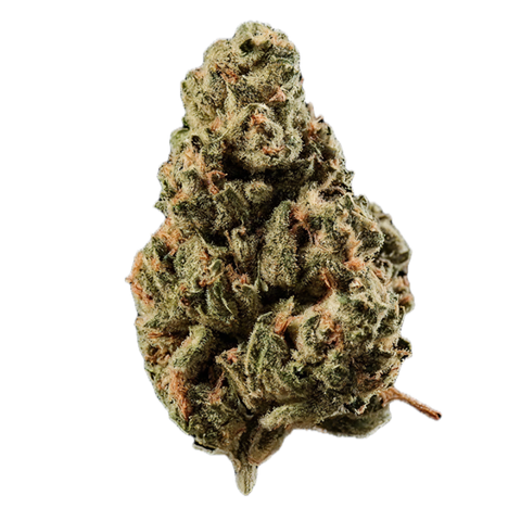 Purple Octane Strain