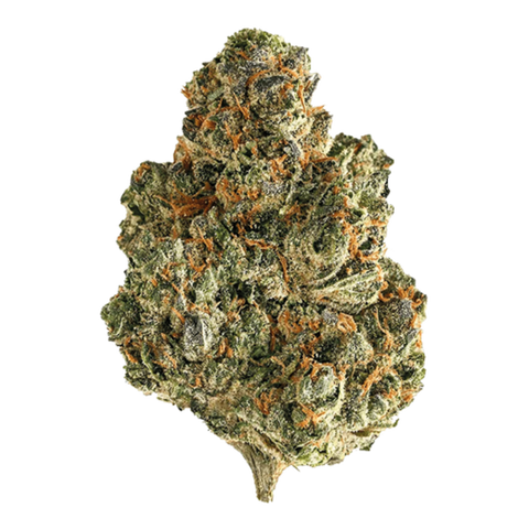 Cherry Gelatti Gushers Strain