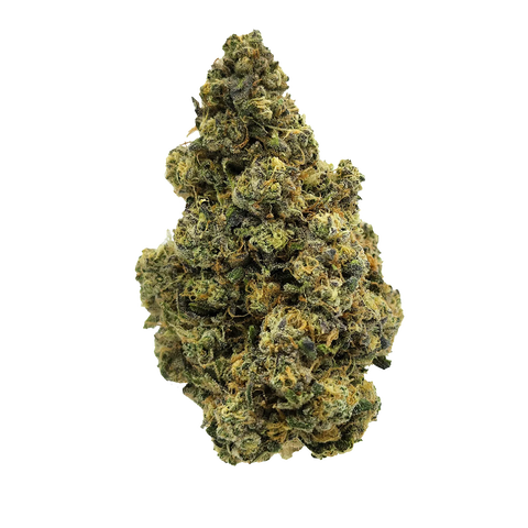 Gossip Gun Strain