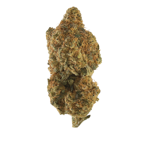 Jack Black Strain