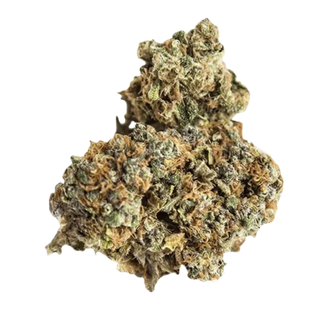 Black Lime Strain