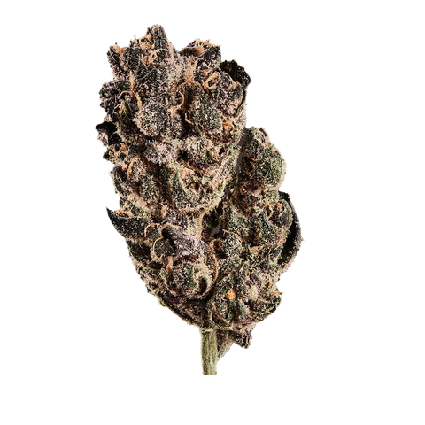 Tropicana Cookies Strain