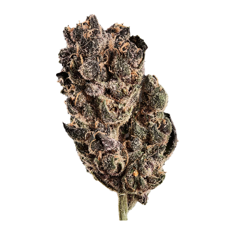 Tropicana Cookies
