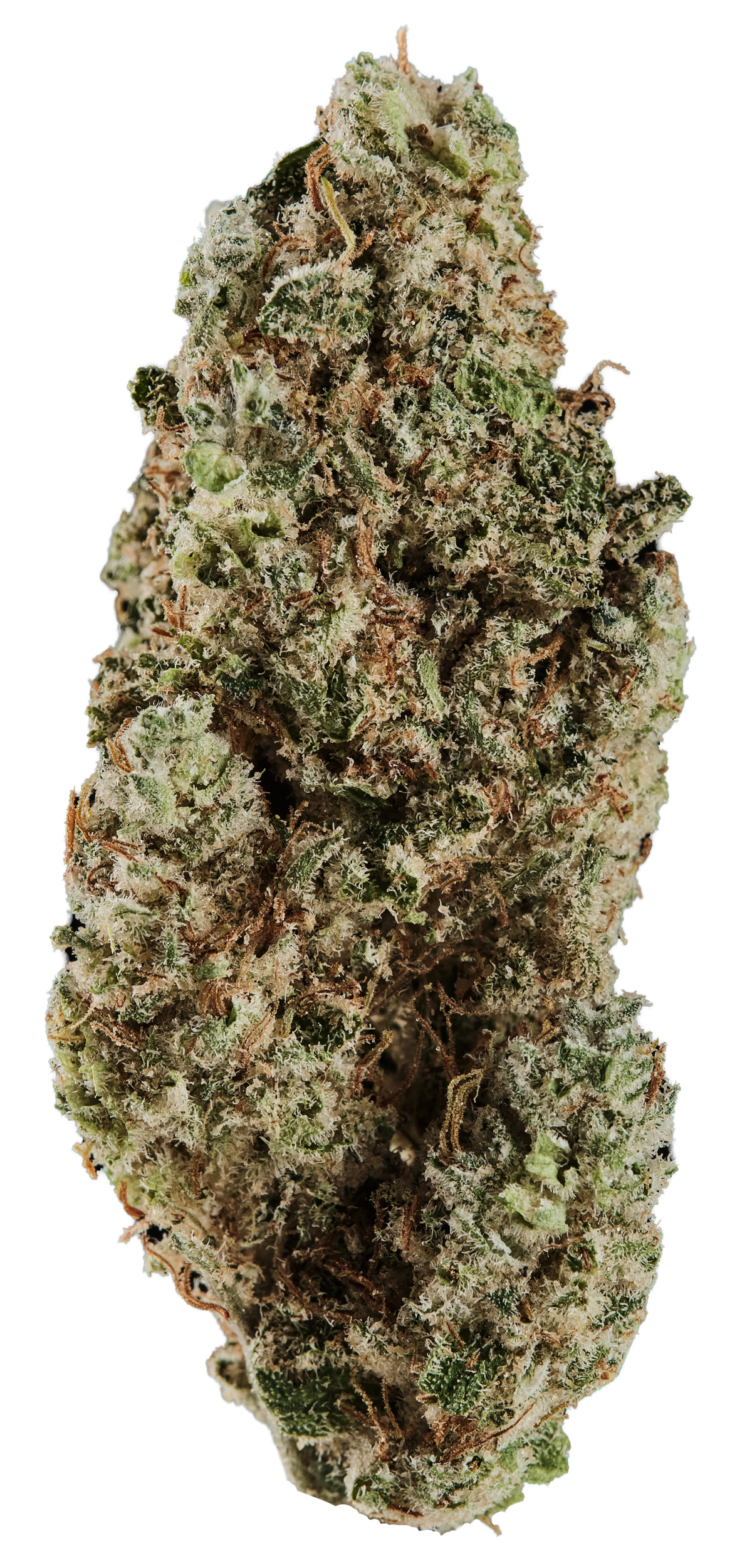 420 Compound 27/1 RPV