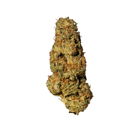 Lavender X Power Plant Strain