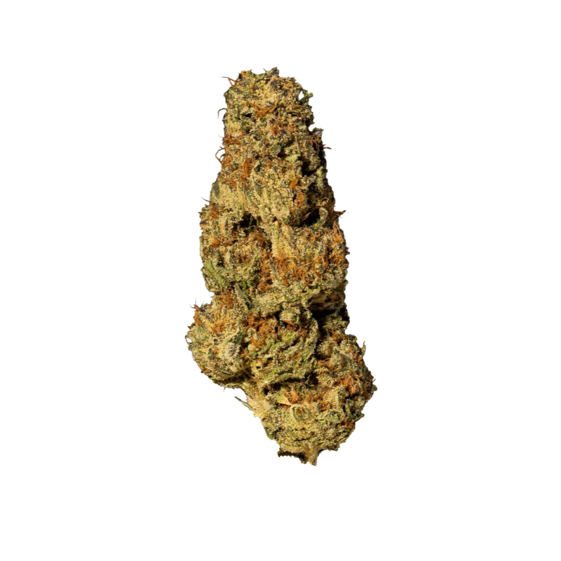 Lavender X Power Plant