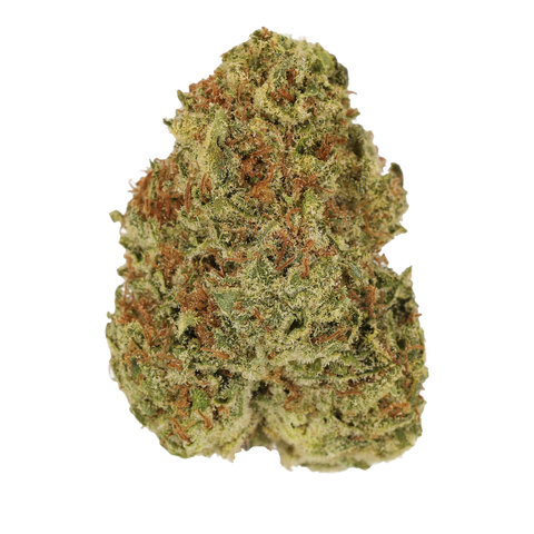 Watermelon Strain