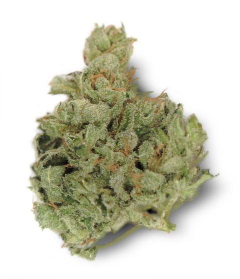 Island Sweet Skunk Strain