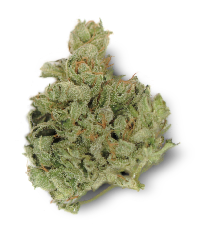 Island Sweet Skunk
