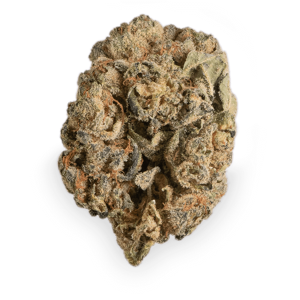 Tilray THC18 Spotlight Porto