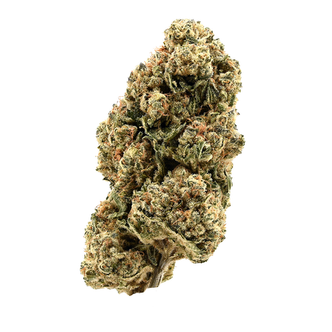 Golden Goat Strain