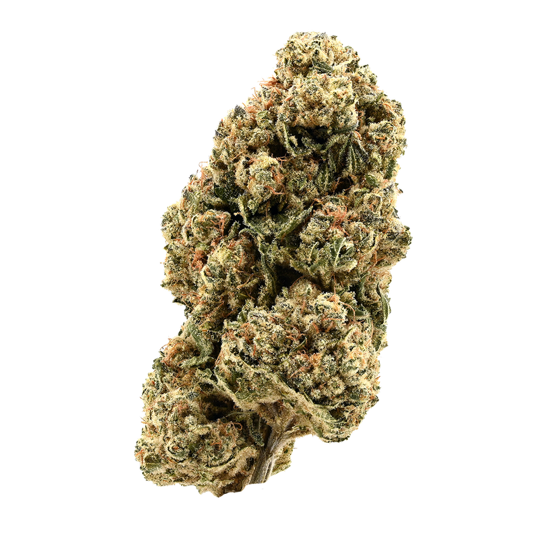 Golden Goat