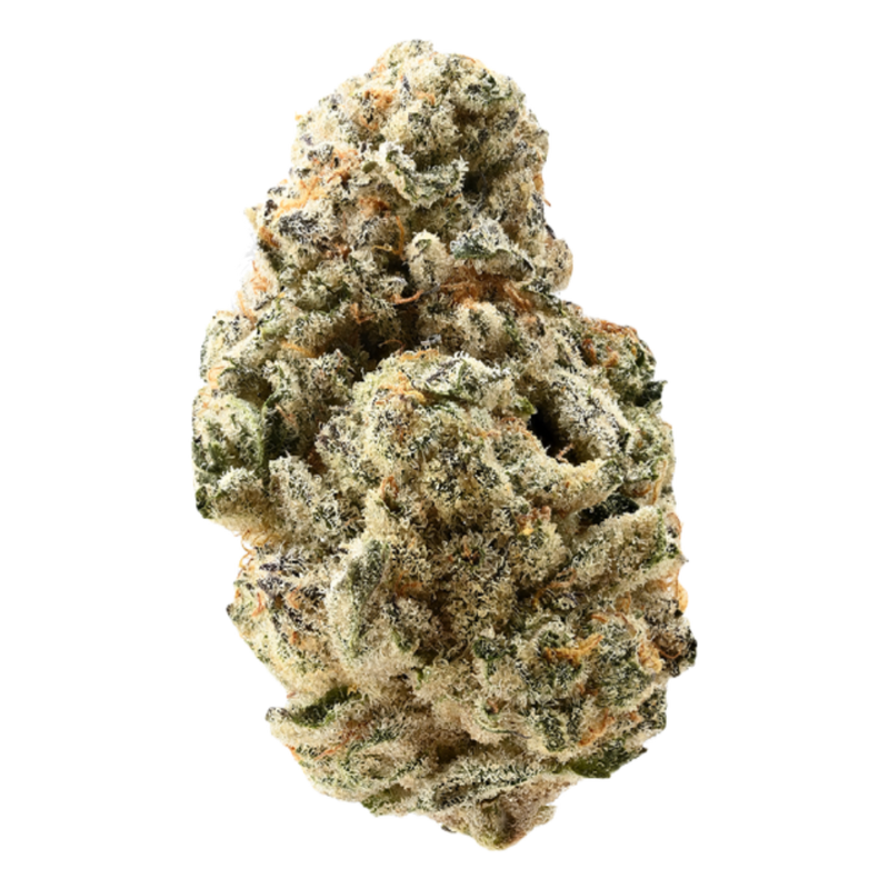 Siggis Waldmeister
