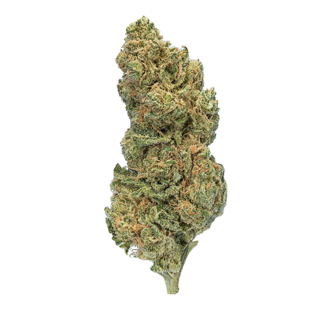 Gelly Popper Strain