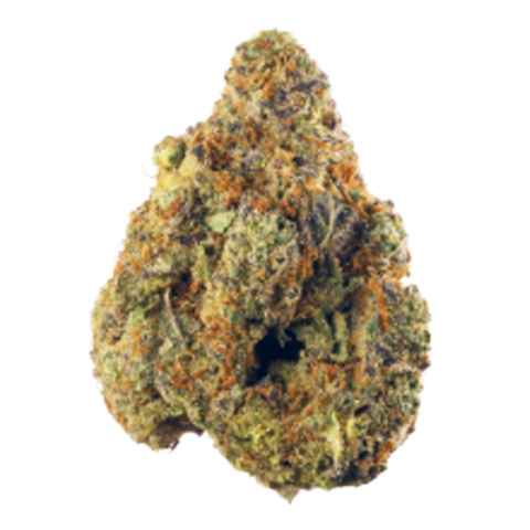 Spritzer Strain