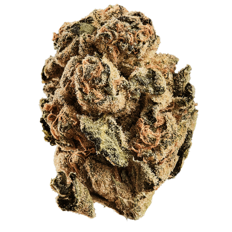 Zookies Strain