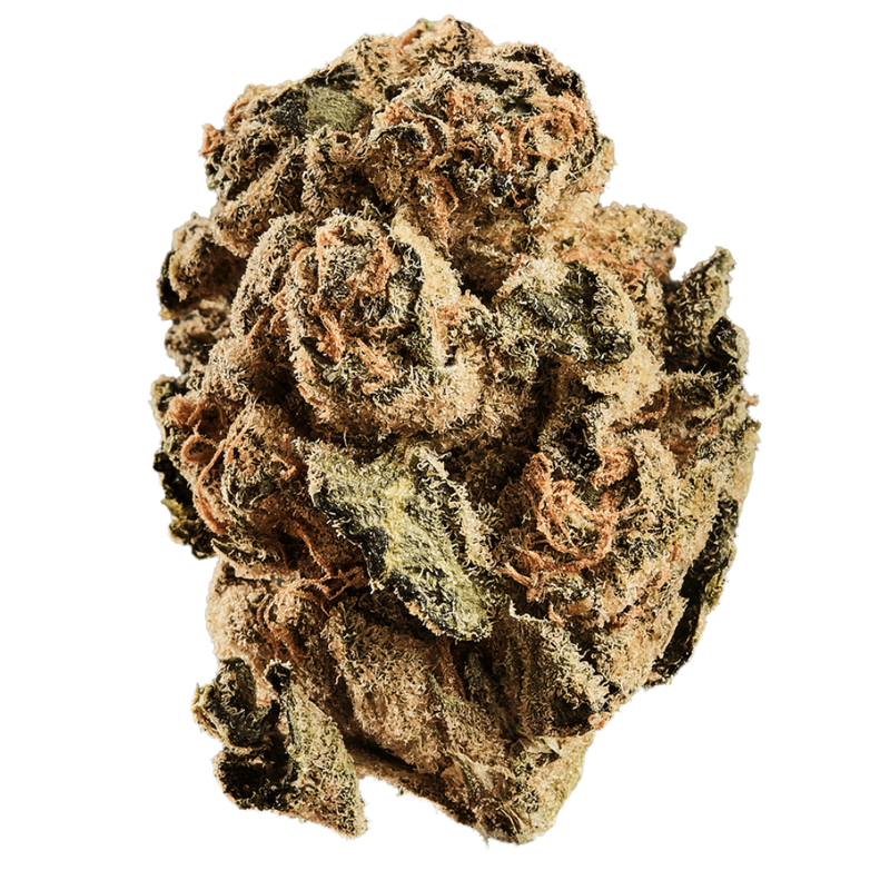 Zookies