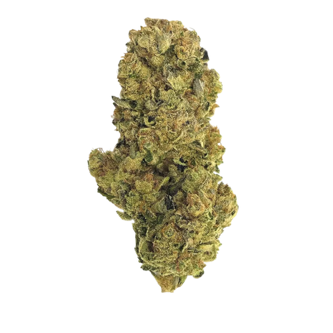 Gsc X Tangie Strain